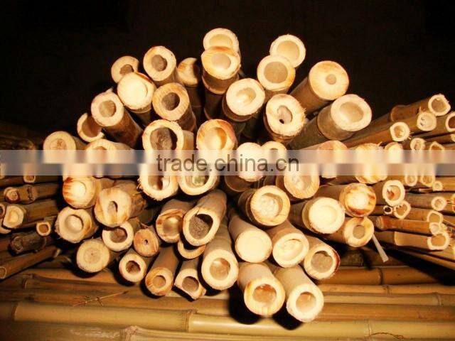 natural colorful strong bamboo poles agricultural