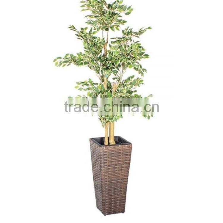 Home or office decoration square wicker planter