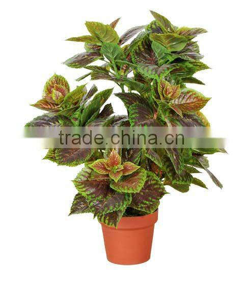bonsai artificial plants,party decoration, shengjie artificial purple perilla for wholesale