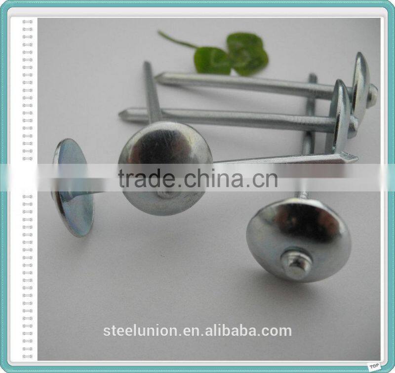 Galvanized Umbrella Head Smooth Shank Roofing Nails