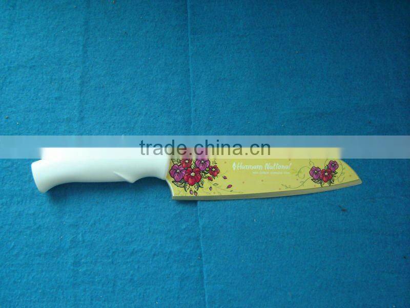 colorful fruit knife