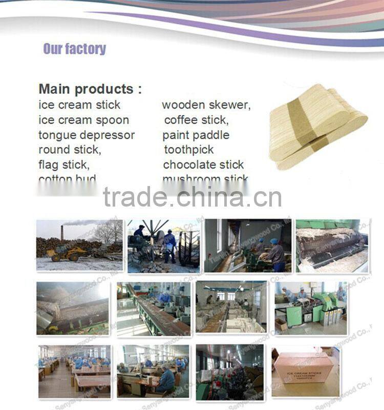 magnum and popsicle stick wood ice cream stick