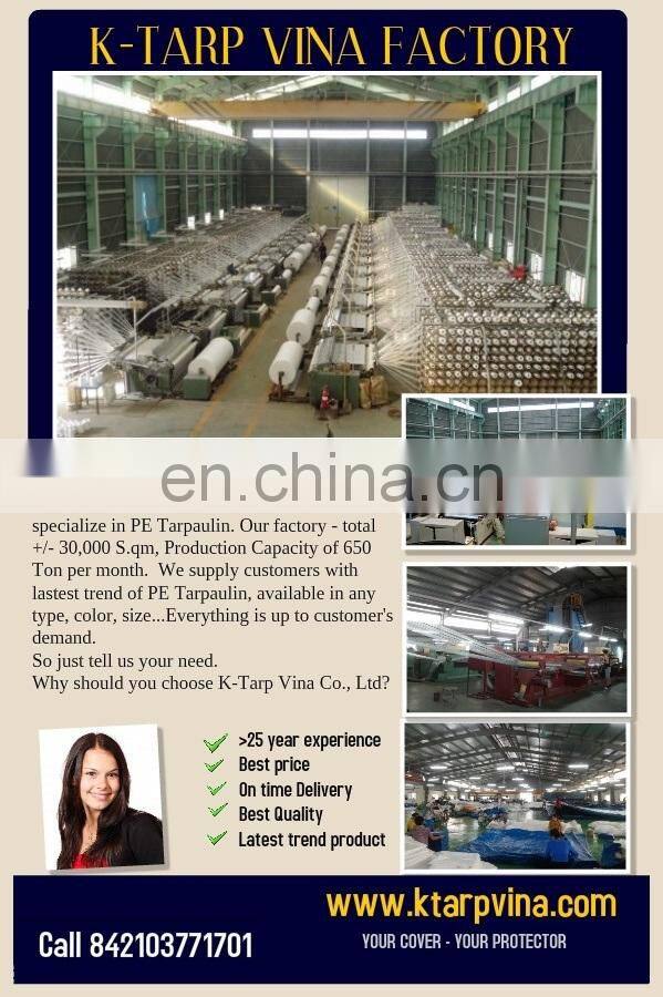Korea Scaffolding PE Tarpaulin Sheet