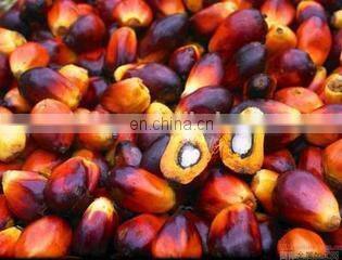 New design semi-automatic screw palm oil press machine/ Competitive price palm oil machine