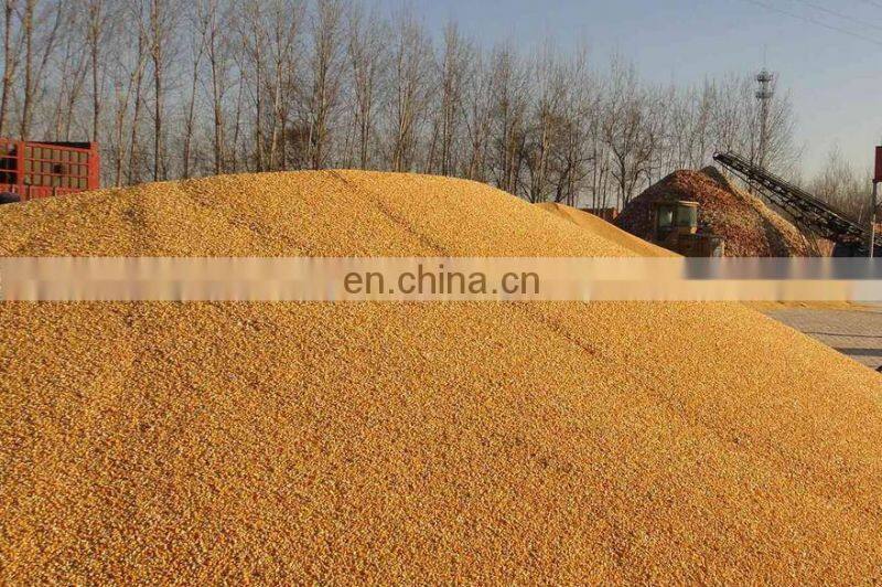 Paddy seed cleaner machine / grain screening machine