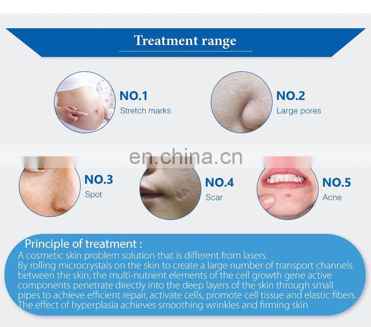 Renlang RF Device Series Micro Crystal Technology RF Microneedle Non-invasive Skin Care Equipment Vertical