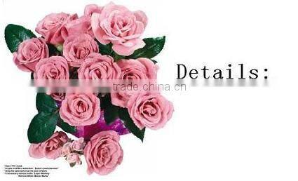 pet supply fashion foldable dog bed pet product animal pet bag dog handbag