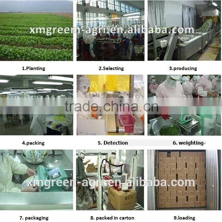 IQF frozen Strawberries diced