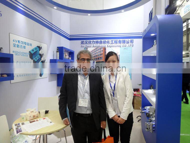 Mini Hydro Cylinder for Construction Machinery