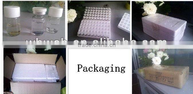 funny eyes cute contact lens case