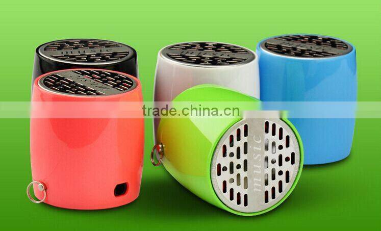 Portable audio professional musical speaker