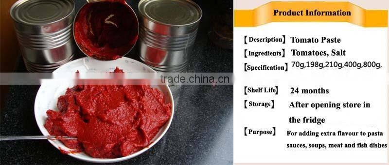 Green Food Canned Tomato Paste/Tomato Paste in Can 400gram