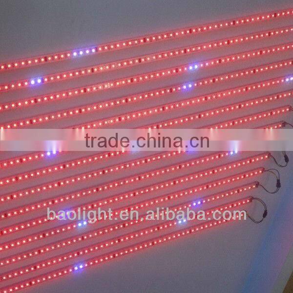 2012 the best selling products 50cm led light bar 6w 12v smd5050