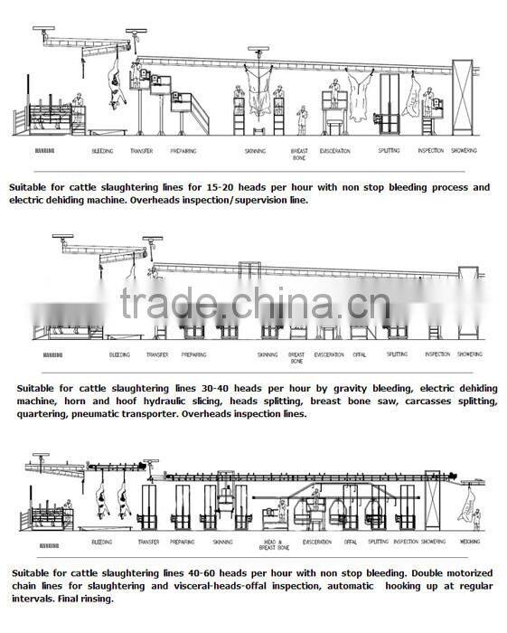 Beef Processing Facility Cow Slaughter
