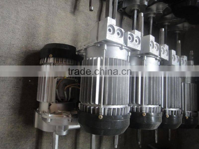 Portable 220v PA type small 250kg electric hoist