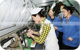 Cheap Double Thick Heavy Plush Raschael Mink Blankets