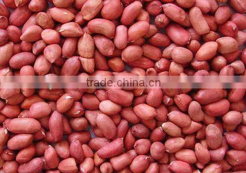 Red skin peanuts /organic peanut