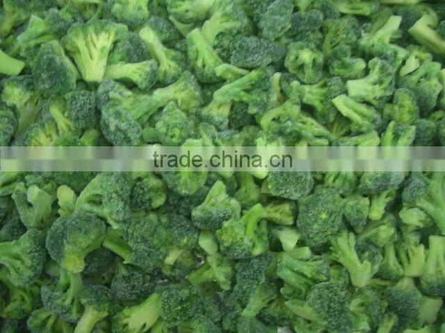 shandong fresh frozen broccoli florets