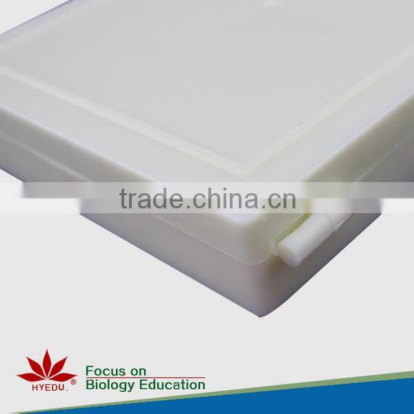 High quality 18pcs blood test prepared slides set