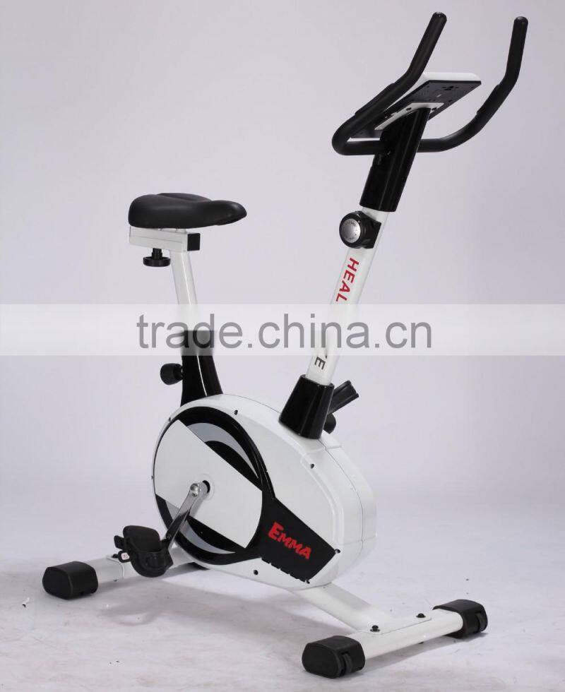 OEM exercise bike/spin bike 8071B