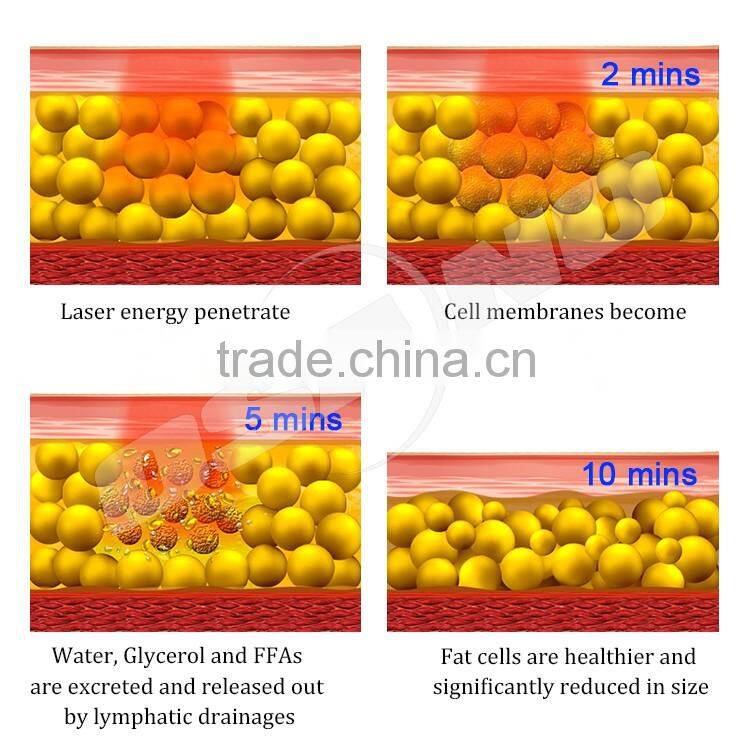 Low Level Laser Therapy Fat Burning Beauty Equipment