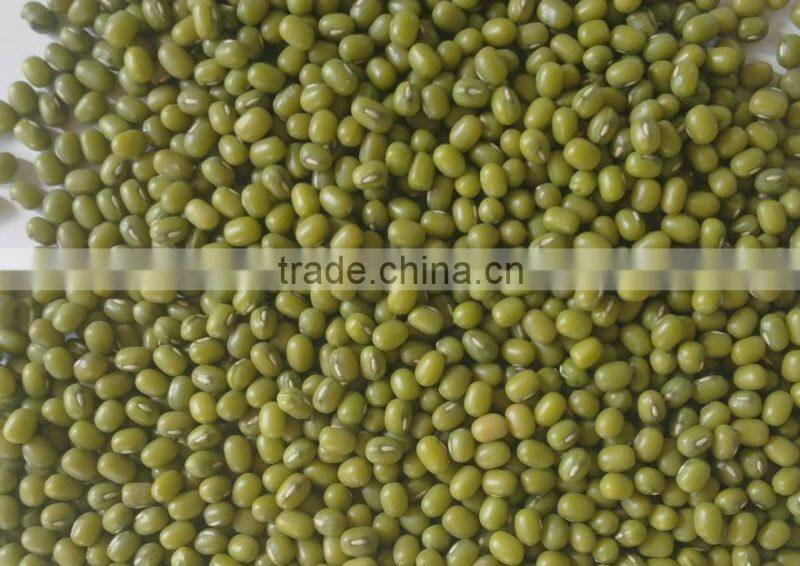 good quality mung beans for sprout or food