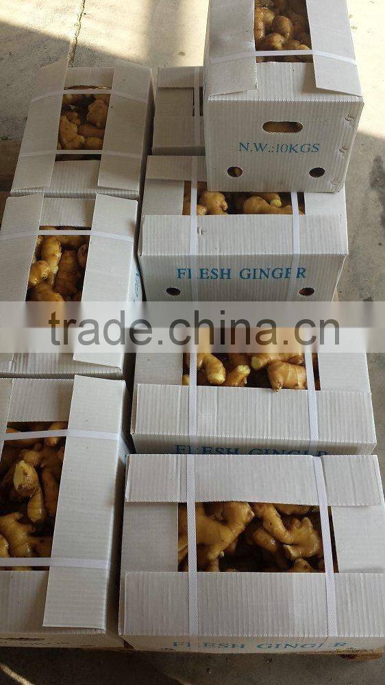China air dried fresh ginger