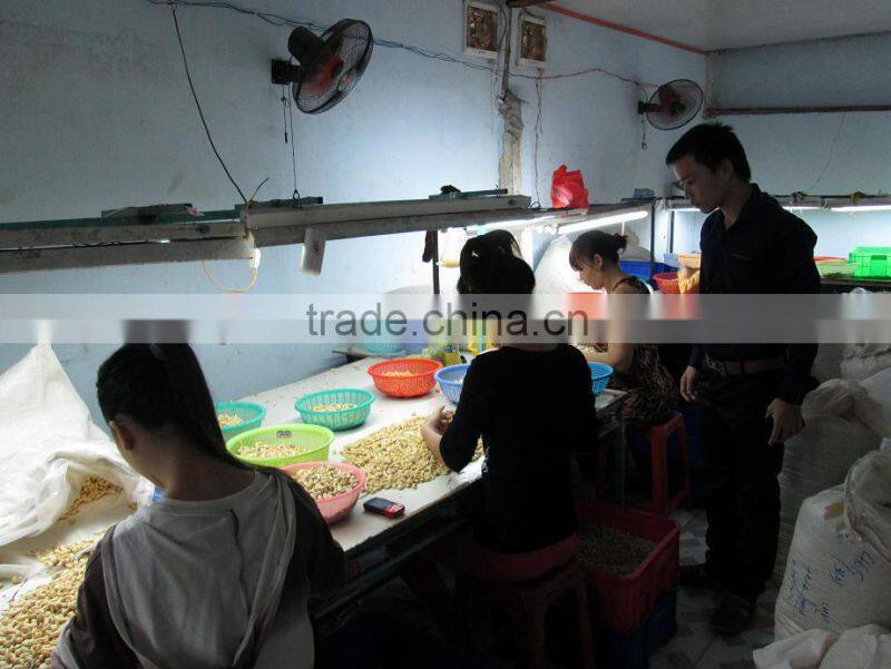 VIETNAM CASHEW NUT NEW CROP 2015