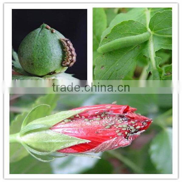 Beta-cypermethrin 95% TC