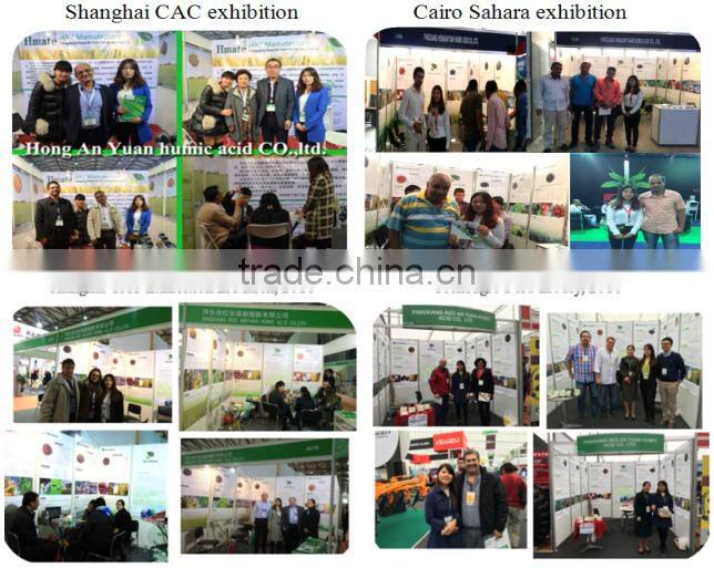 Wholesale Price of Natural Feed Additives Kelp Meal