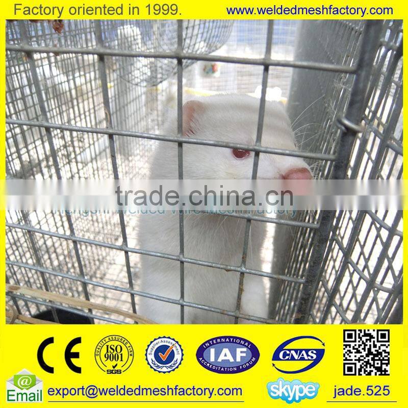 Professional Mink Cage Trap Hot dipped Galvanized Welded Wire Mesh mink cage
