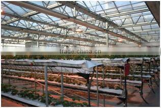 hydroponic grow systems greenhouse