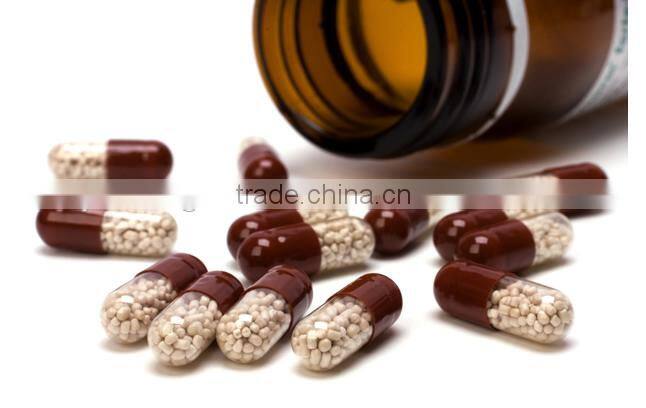 Model FL Series Fluidized Bed Granulating Dryer for cocoa powder