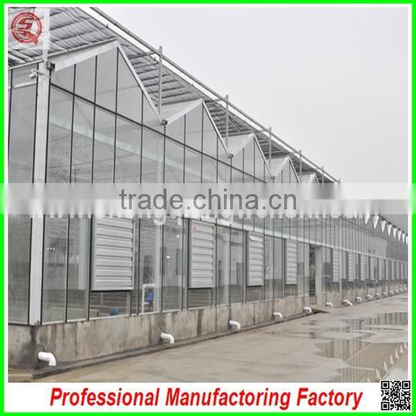 China price multi-span glass greenhouse with drip irrigation for sale