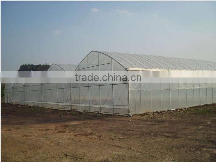 New style agricultural greenhouse for grawing vegetables
