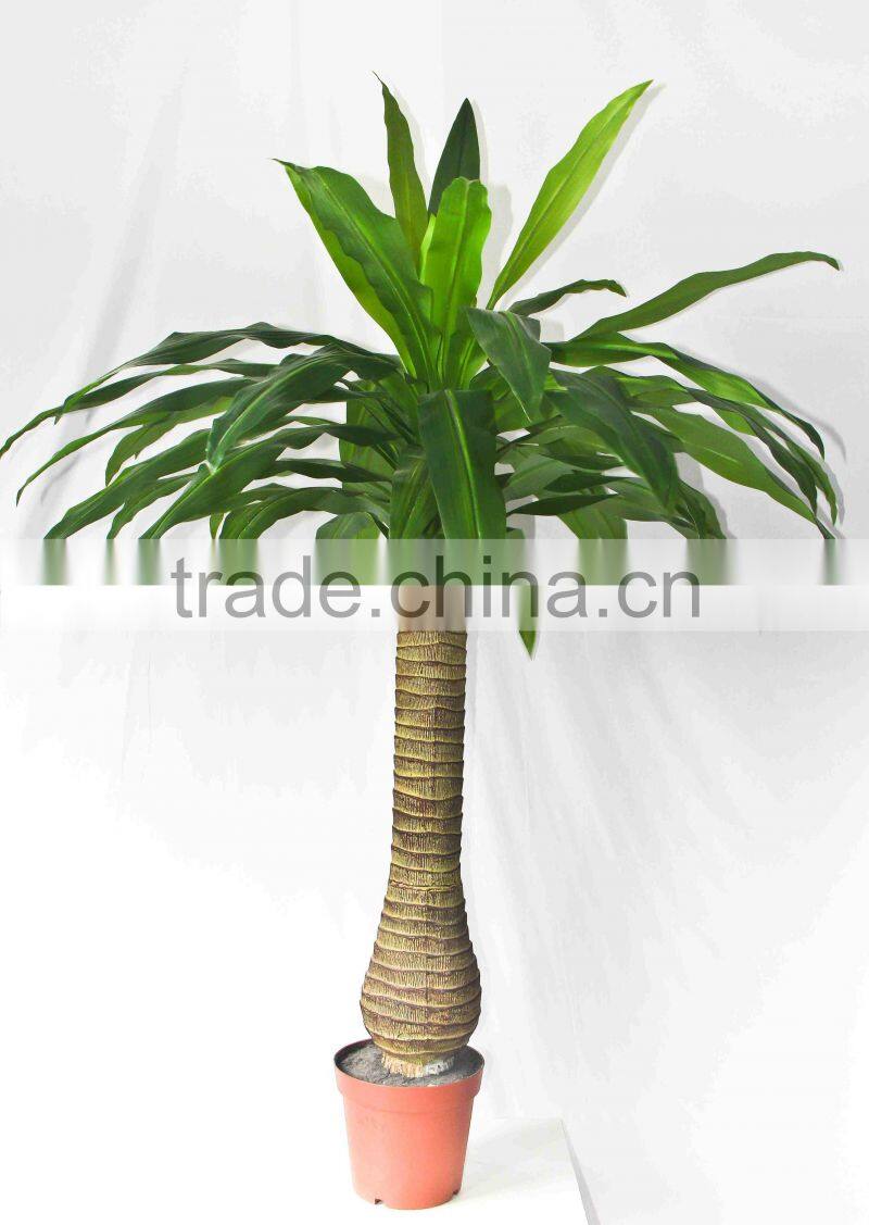 Wholesale outdoor use potted plants