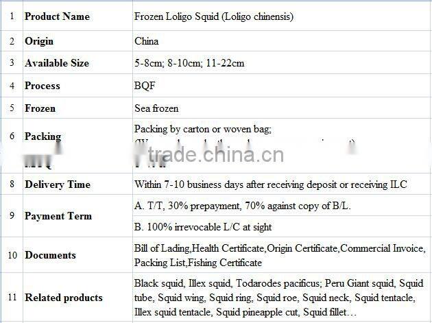 seafood new landing claen loligo BQF