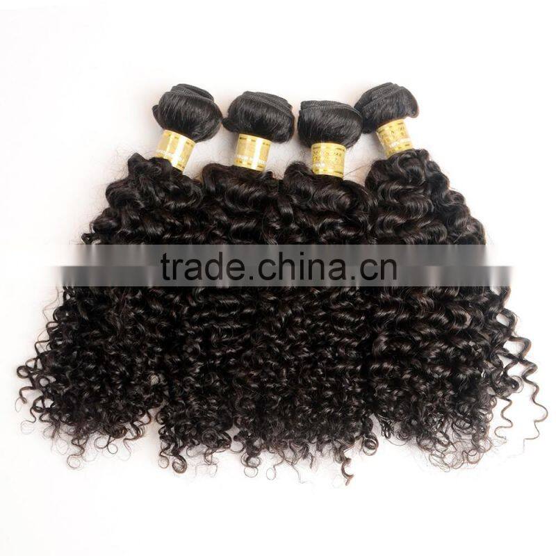 New arrival factory price top quality 7A Virgin Hair kinky curl Human Hair Weaving