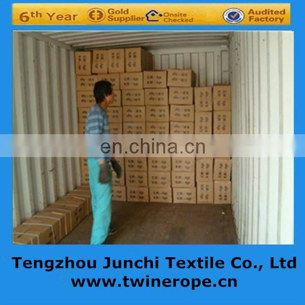 High Tenacity Intermingled Dope Dyed FDY 900D Pp Webbing Yarn