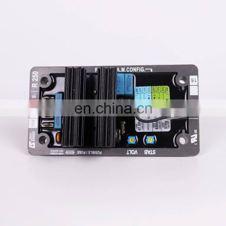 Leroy somer AVR R250 with LOGO