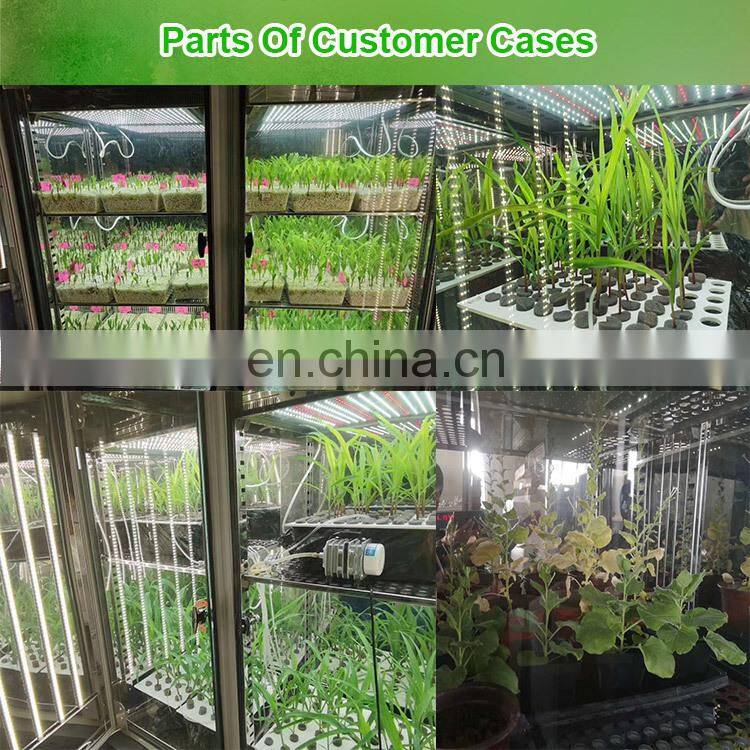 Liyi High Quality Laboratory Plant Growth Chamber Climate Incubator, Laboratory Seed Incubator, Insect Incubator