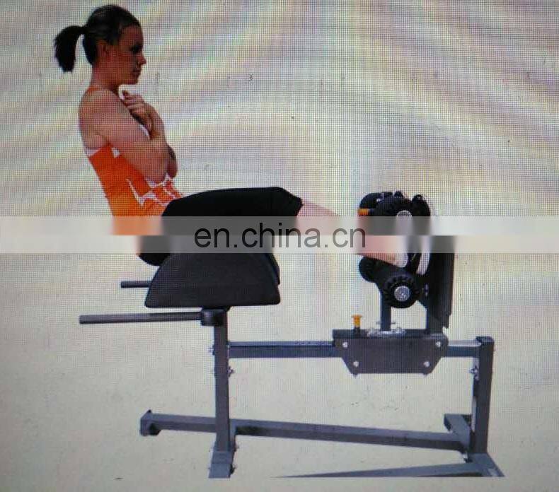 ASJ-S871 Adjustable Roman Chair machine fitness equipment machine commercial gym equipment