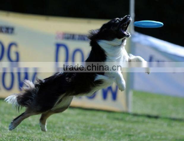 2015 Wholesale professional silicone frisbee, dog toy