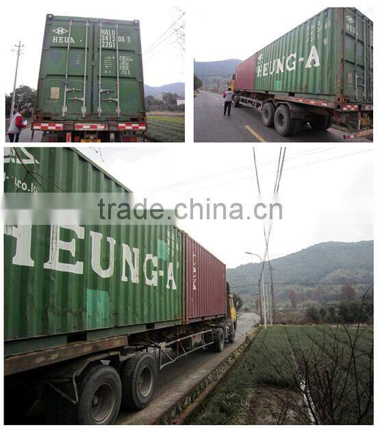 top quality special floor tile diy garden path mould