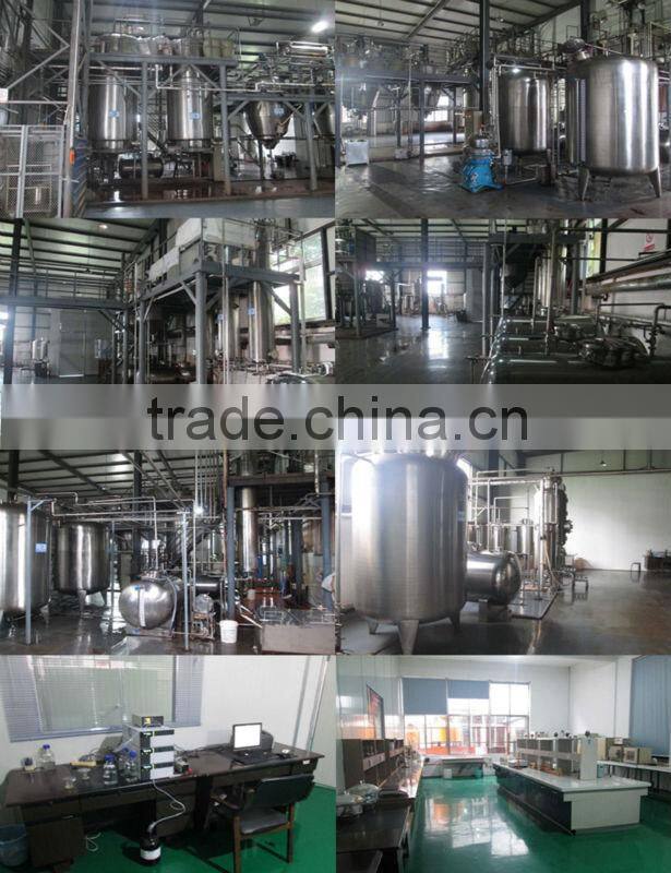 Natural Bilberry Extract of high quality Anthocyanidin 25%