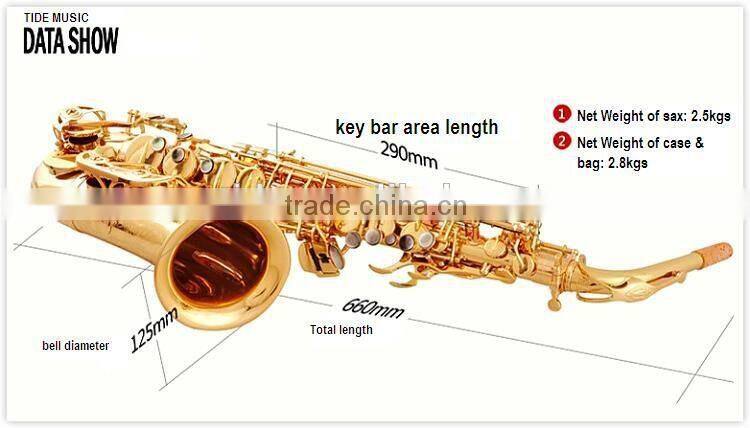 Professional China Alto Saxophone, silver plated