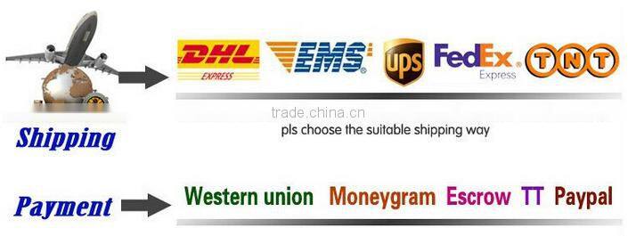 Men's 100% cotton T-shirt