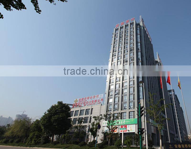 Health Benefit Honey Ginger Tea - All Flavors