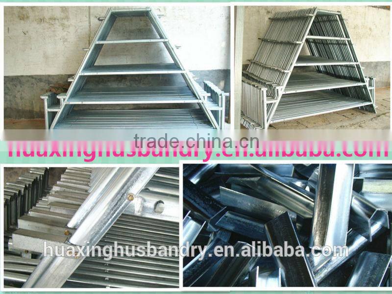 Poultry chicken cage including installation and after-sale service for sale