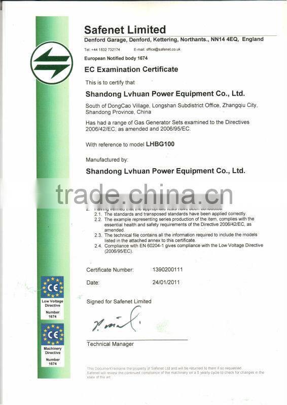 300kw shale gas generator set